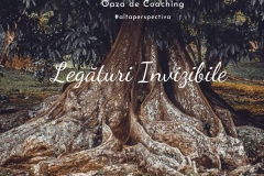 Oaza de coaching- Legaturi invizibile 